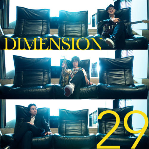 DIMENSION 29            CD